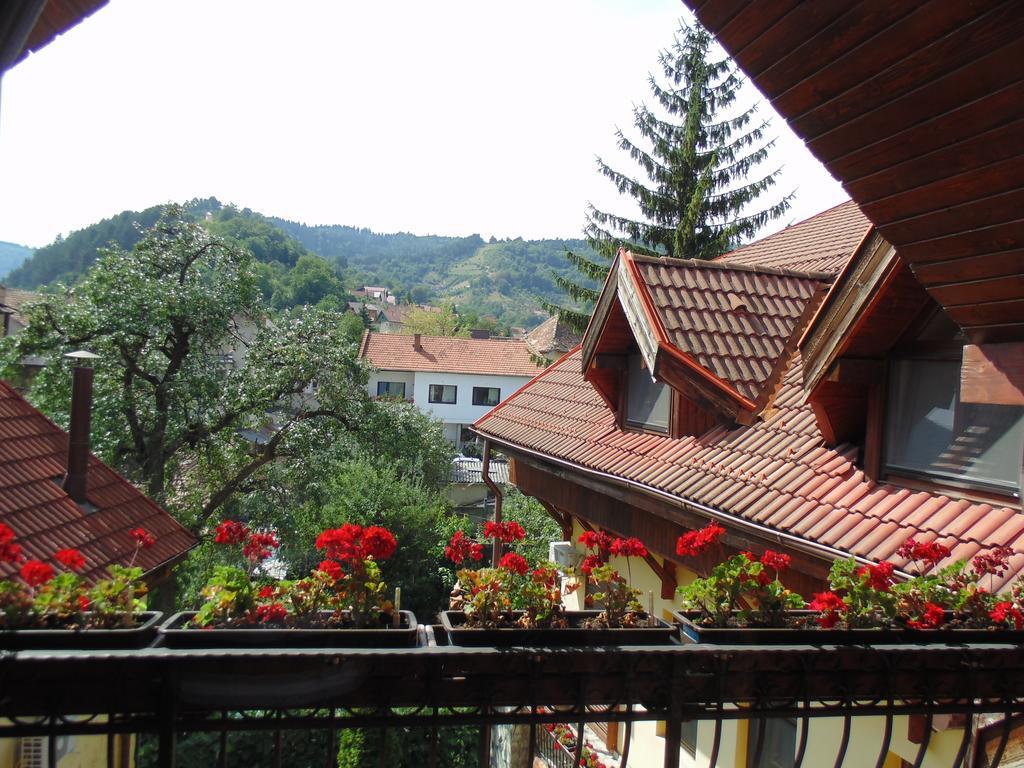 Bed and Breakfast Curtea Brasoveana Екстер'єр фото